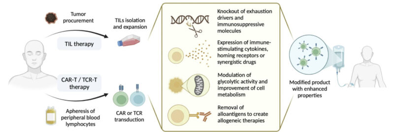 Aleix Prat: Unlocking the potential of engineered immune cell therapy for solid tumors