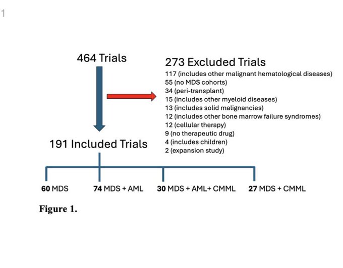 Amer Zeidan: Reducing Clinical Trial Eligibility Barriers for Myelodysplastic Syndromes/Neoplasms