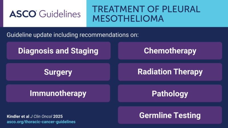 ASCO guideline update on the treatment of pleural mesothelioma by Hedy L. Kindler et al.