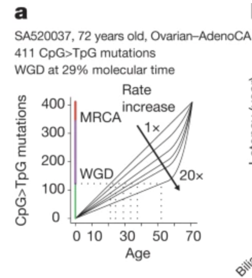 Sanju Sinha: The concept of ‘timing a molecular event’ in cancer research