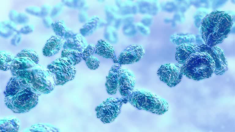 NAYA Biosciences has Expanded the Oncology Pipeline with Promising New Antibody