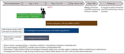 Nico Gagelmann: The power of transplantation to reverse-engineer ‘chronic’ disease