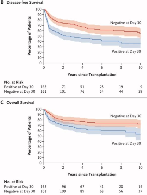 Nico Gagelmann: The power of transplantation to reverse-engineer ‘chronic’ disease