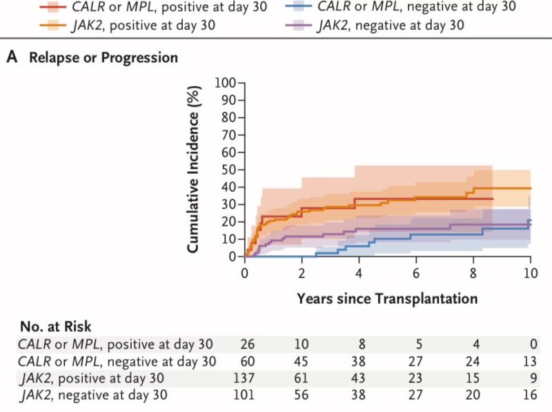 Nico Gagelmann: The power of transplantation to reverse-engineer ‘chronic’ disease