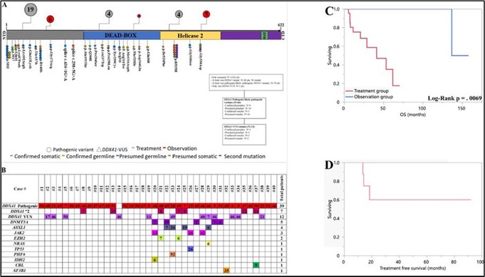 Talha Badar: DDX41mt predisposition syndrome in myeloid neoplasms