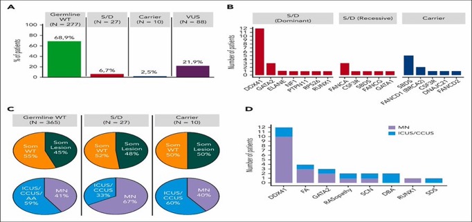 Talha Badar: DDX41mt predisposition syndrome in myeloid neoplasms