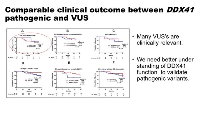 Talha Badar: DDX41mt predisposition syndrome in myeloid neoplasms