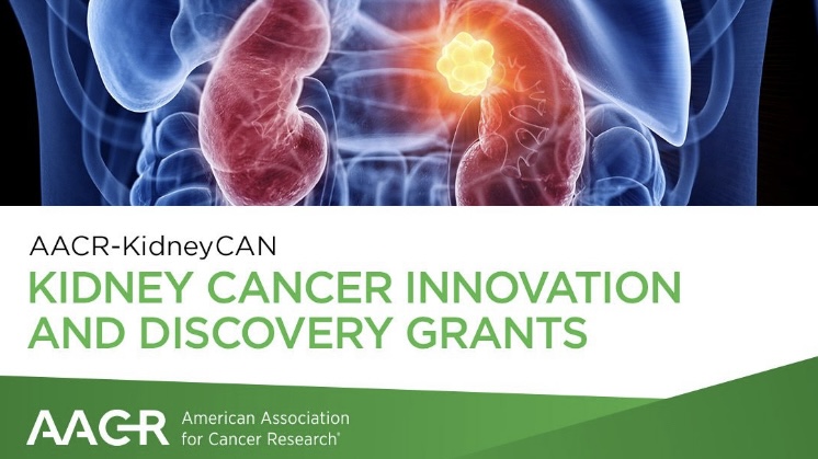 KidneyCAN supports the AACR Kidney Cancer Innovation and Discovery Grant