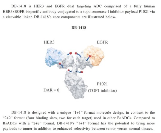 Raffaele Colombo: Another EGFR and HER3 bispecific ADC will start clinical development in China