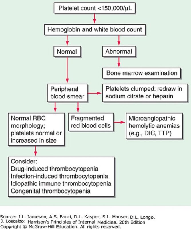 Nico Gagelmann: Let's learn hematology in 2025