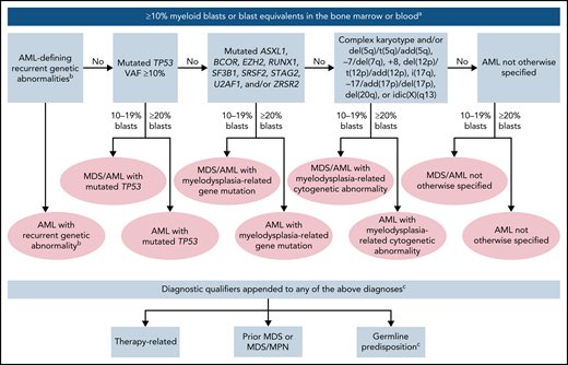 Nico Gagelmann: Let's learn hematology in 2025