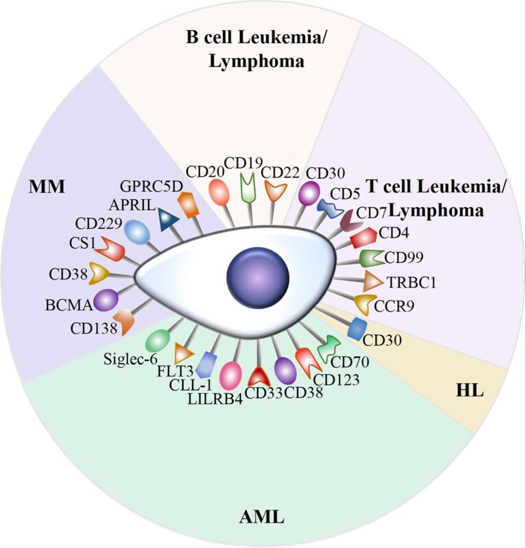 Nico Gagelmann: Let's learn hematology in 2025