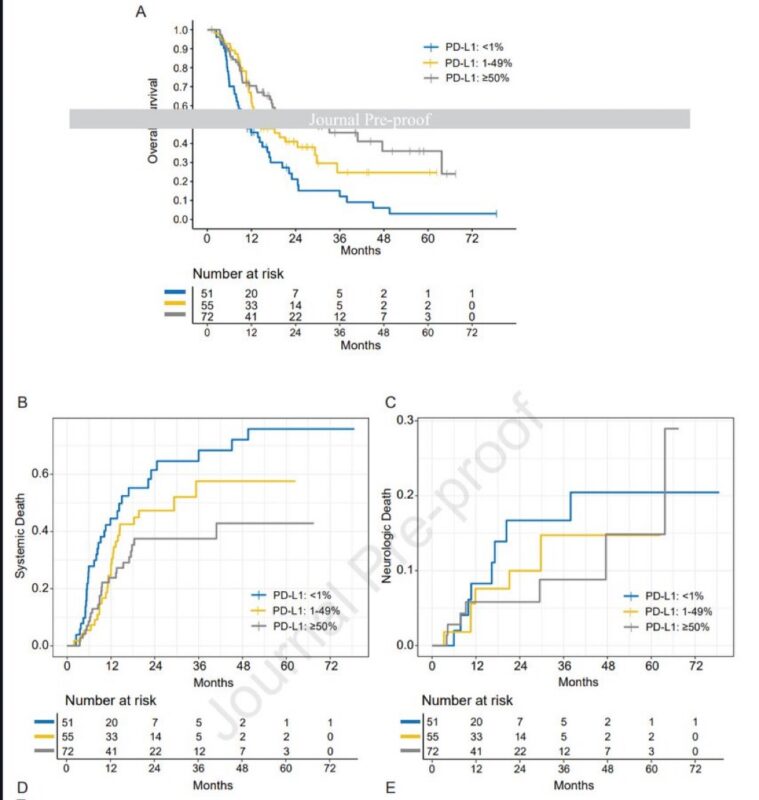 Elio Adib: TMB/PD-L1 expression and outcomes in patients with NSCLC and new brain metastases