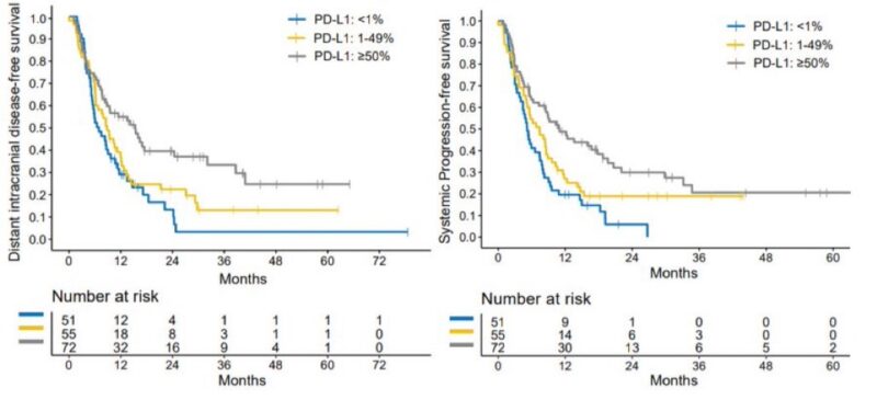 Elio Adib: TMB/PD-L1 expression and outcomes in patients with NSCLC and new brain metastases