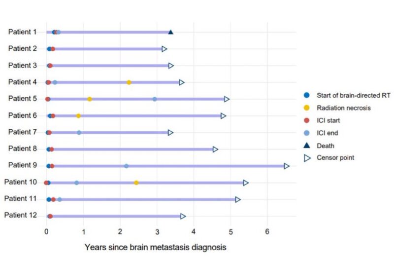 Elio Adib: TMB/PD-L1 expression and outcomes in patients with NSCLC and new brain metastases