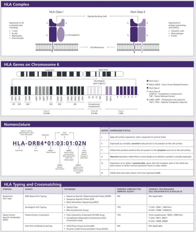 Learning hematology in 2025 with Nico Gagelmann: Part 2