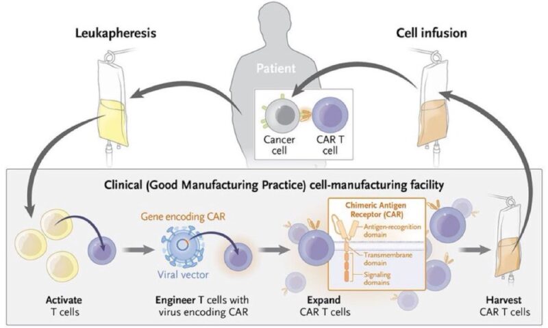 Learning hematology in 2025 with Nico Gagelmann: Part 2