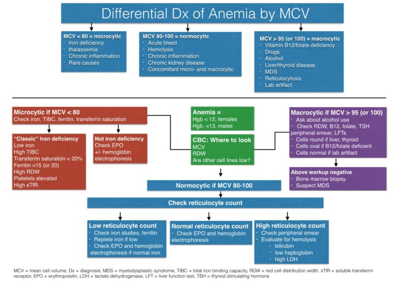 Learning hematology in 2025 with Nico Gagelmann: Part 2