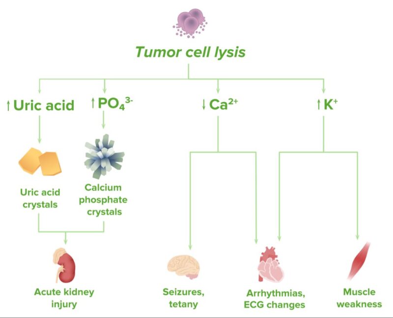 Learning hematology in 2025 with Nico Gagelmann: Part 2