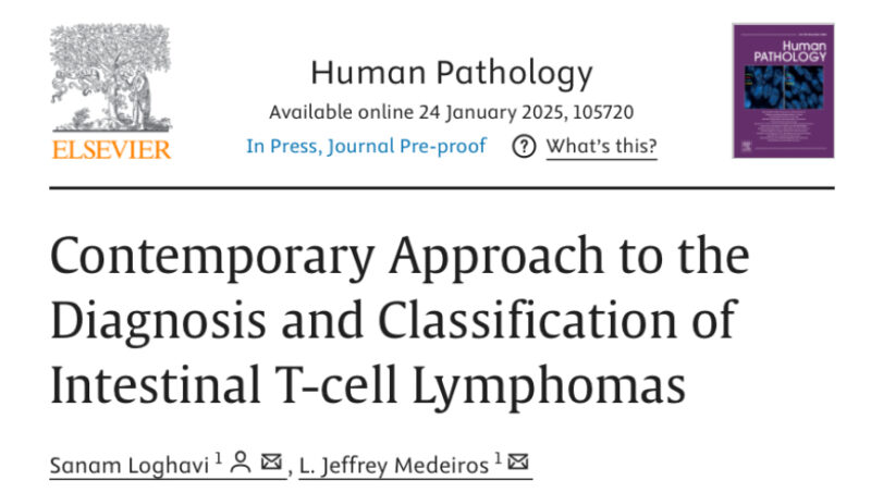 T cell lymphomas