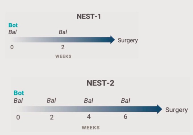 No recurrences in MSS colorectal cancer with BOT/BAL neoadjuvant immunotherapy: NEST Trial updates from ASCOGI25