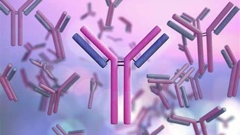 Trispecific antibodies for enhanced cancer immunotherapy