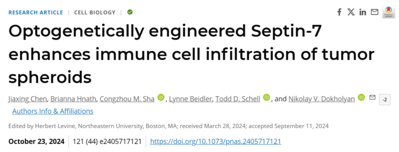 Hung Trinh: Researchers have re-engineered immune cells that penetrate and kill solid tumors