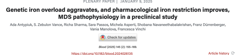 Role of iron in pathophysiology of MDS, in a preclinical model by Ada Antypiuk et al.