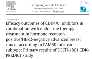 CDK4/6 in ER+ advanced BC