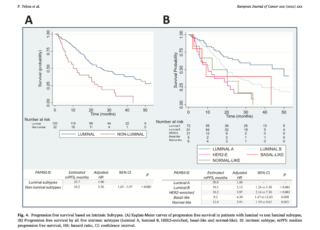 CDK4/6 in ER+ advanced BC