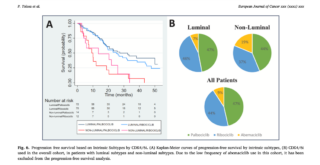 CDK4/6 in ER+ advanced BC