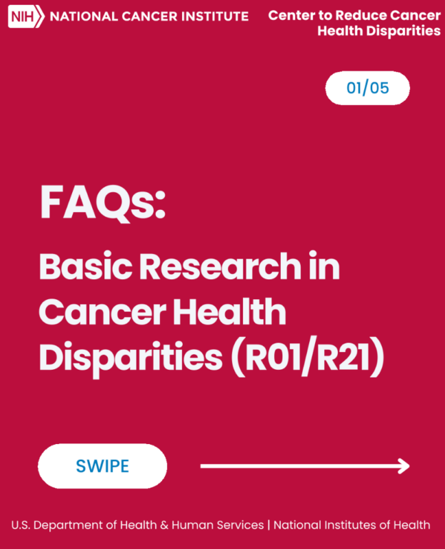 The Basic Research in Cancer Health Disparities Program - NCI Center to Reduce Cancer Health Disparities