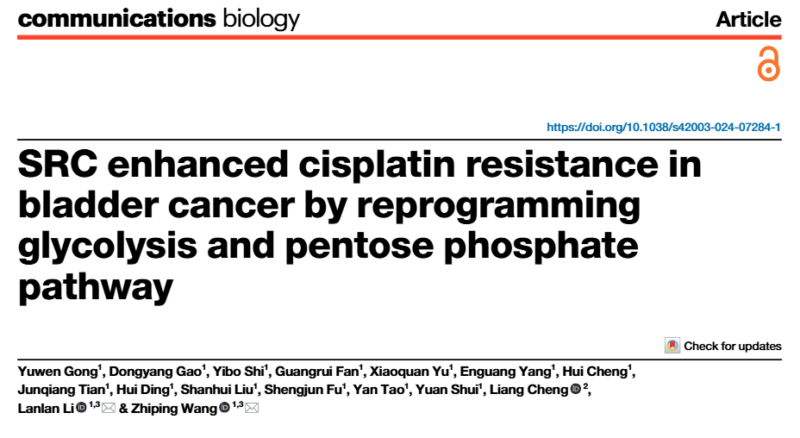 Liang Cheng: SRC enhanced cisplatin resistance in bladder cancer