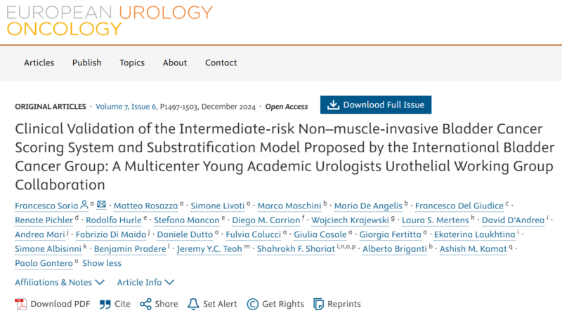 Clinical validation of the Intermediate-risk NMIBC Scoring System and Substratification Model