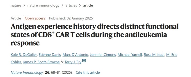 How does the history of T cells impact their ability to fight cancer when engineered with chimeric antigen receptors?