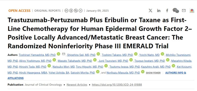 Eribulin + HP as first-line treatment of locally advanced/metastatic HER2+ breast cancer