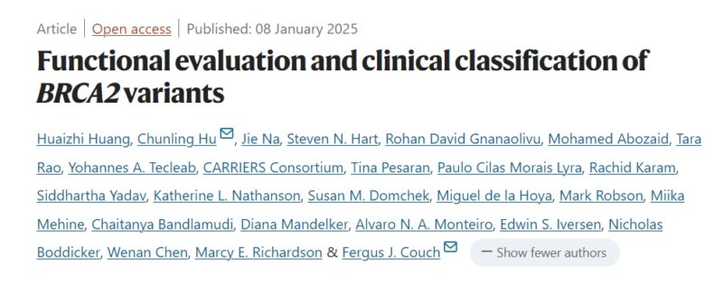 A Deeper Understanding of the Molecular Mechanisms Differentiating High-Risk and Low-Risk BRCA2 Alterations