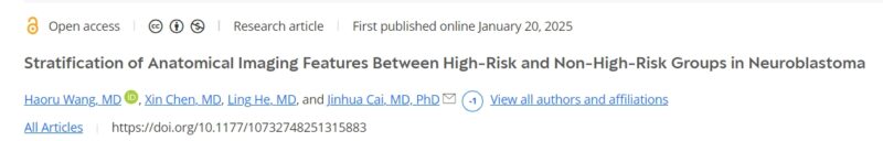 Key anatomical imaging features can provide complementary information for differentiating high-risk from non-high-risk neuroblastoma