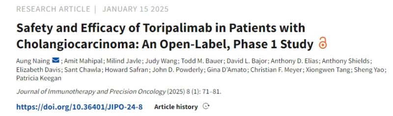 Safety and Efficacy of Toripalimab in Patients with Cholangiocarcinoma