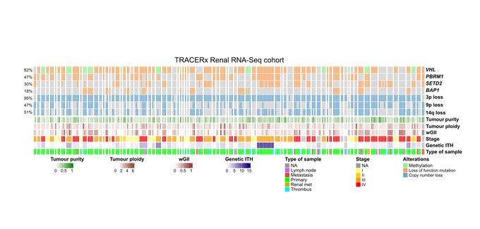 How do the tumor genome, transcriptome, and TME jointly evolve in ccRCC? - Turajlic Lab