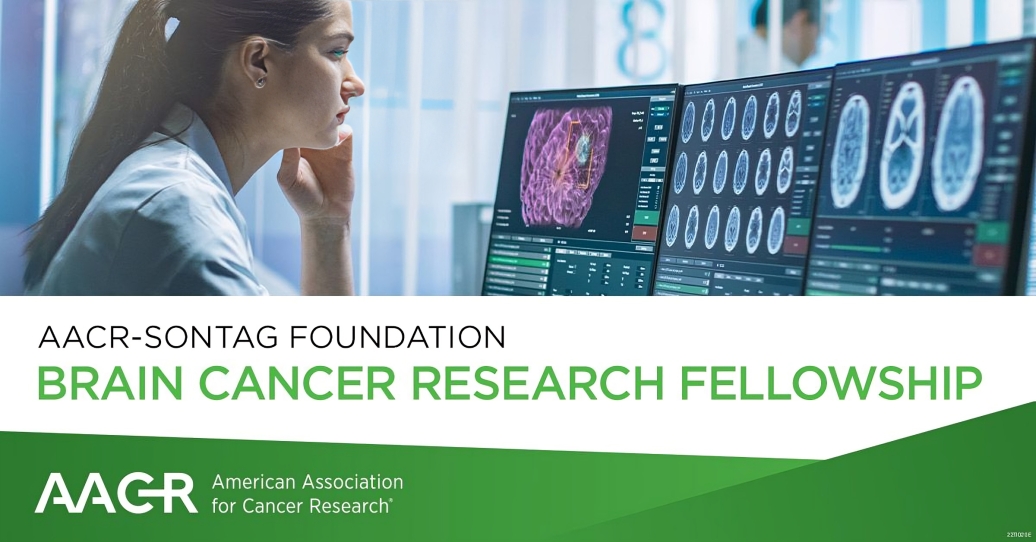 The AACR-Sontag Foundation Brain Cancer Research Fellowship