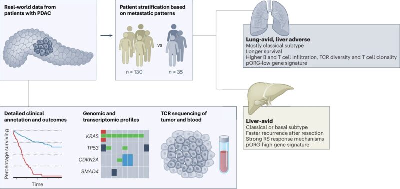 Anirban Maitra: Better prognosis in pancreatic cancer with lung-only vs. liver metastases