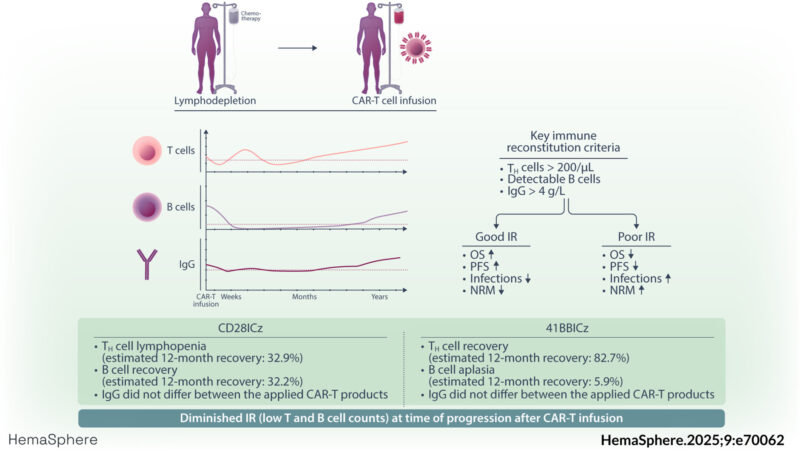 Kai Rejeski: Delineating the prognostic significance of immune reconstitution in CAR-T recipients