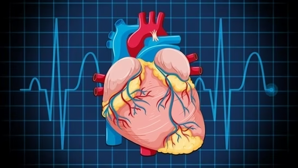 Anthracycline-induced cardiomyopathy: risk prediction, prevention and treatment