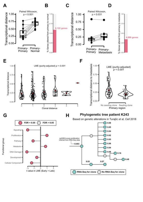 How do the tumor genome, transcriptome, and TME jointly evolve in ccRCC? - Turajlic Lab