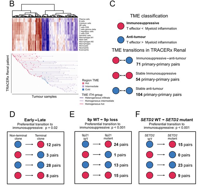 How do the tumor genome, transcriptome, and TME jointly evolve in ccRCC? - Turajlic Lab