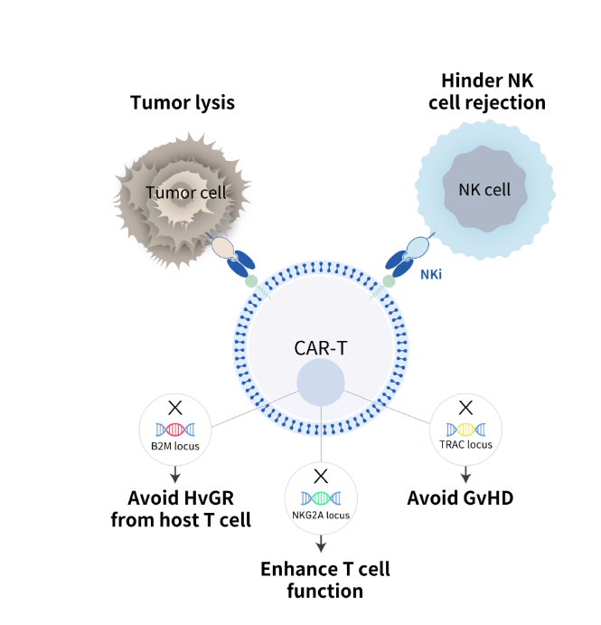 CARsgen Therapeutics