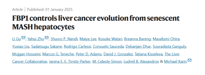 Exploring the Role of FBP1 in the Transition from Fatty Liver Disease to Hepatocellular Carcinoma