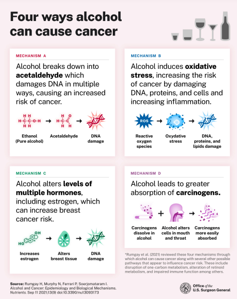 Alcohol and Cancer Risk: The U.S. Surgeon General’s Advisory 2025