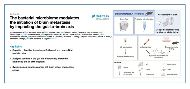 Johanna Joyce: Does the gut microbiome influence metastasis?